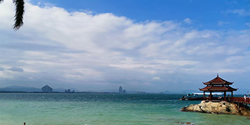 青浦小麦资源优势